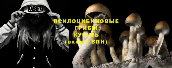 спиды Кодинск