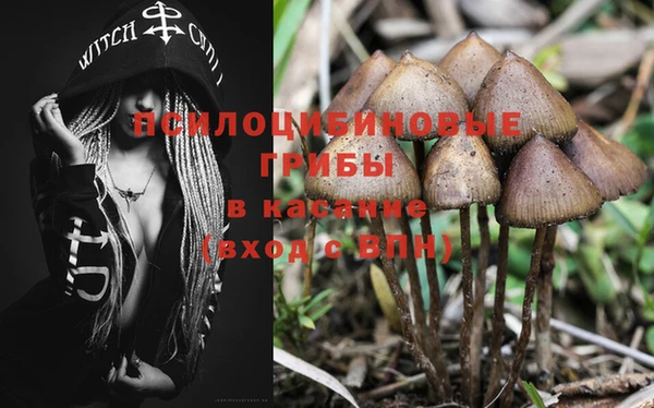 MDMA Premium VHQ Козловка